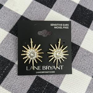 Woman’s pierced earrings